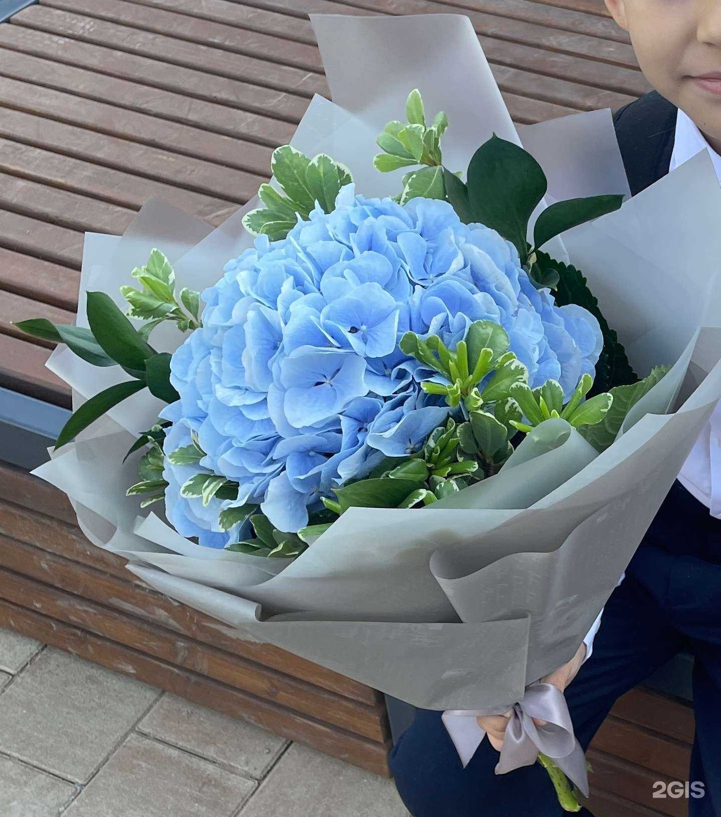 Отзывы на компанию Sad в Коммунарке c фото