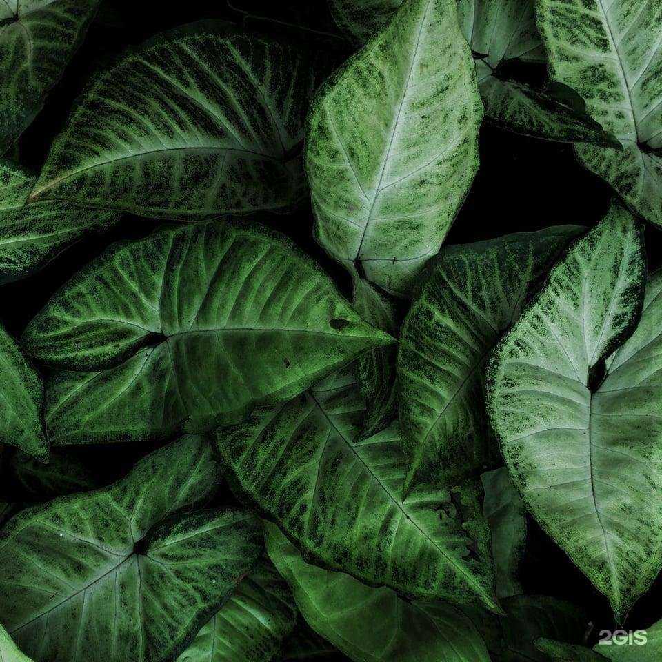 Отзывы на компанию Intimissimi в Оренбурге c фото