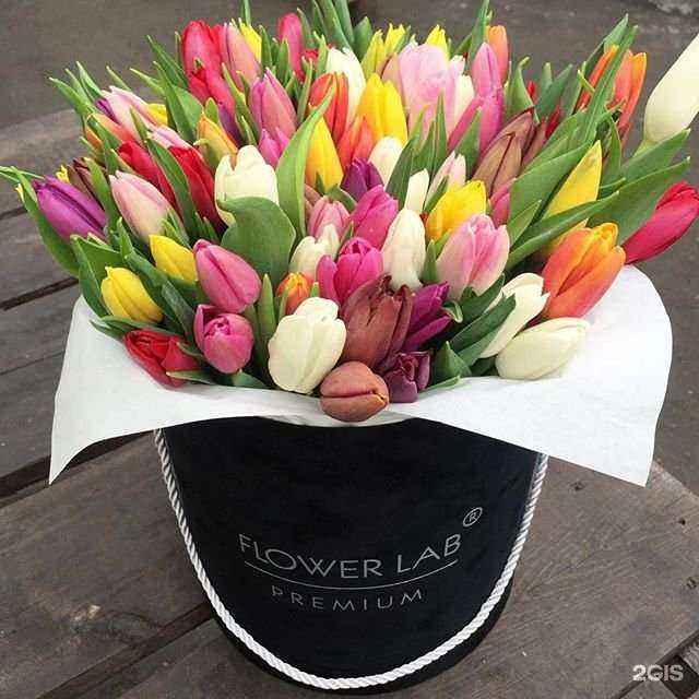Отзывы на компанию Flower Lab Bryansk в г. Брянск c фото
