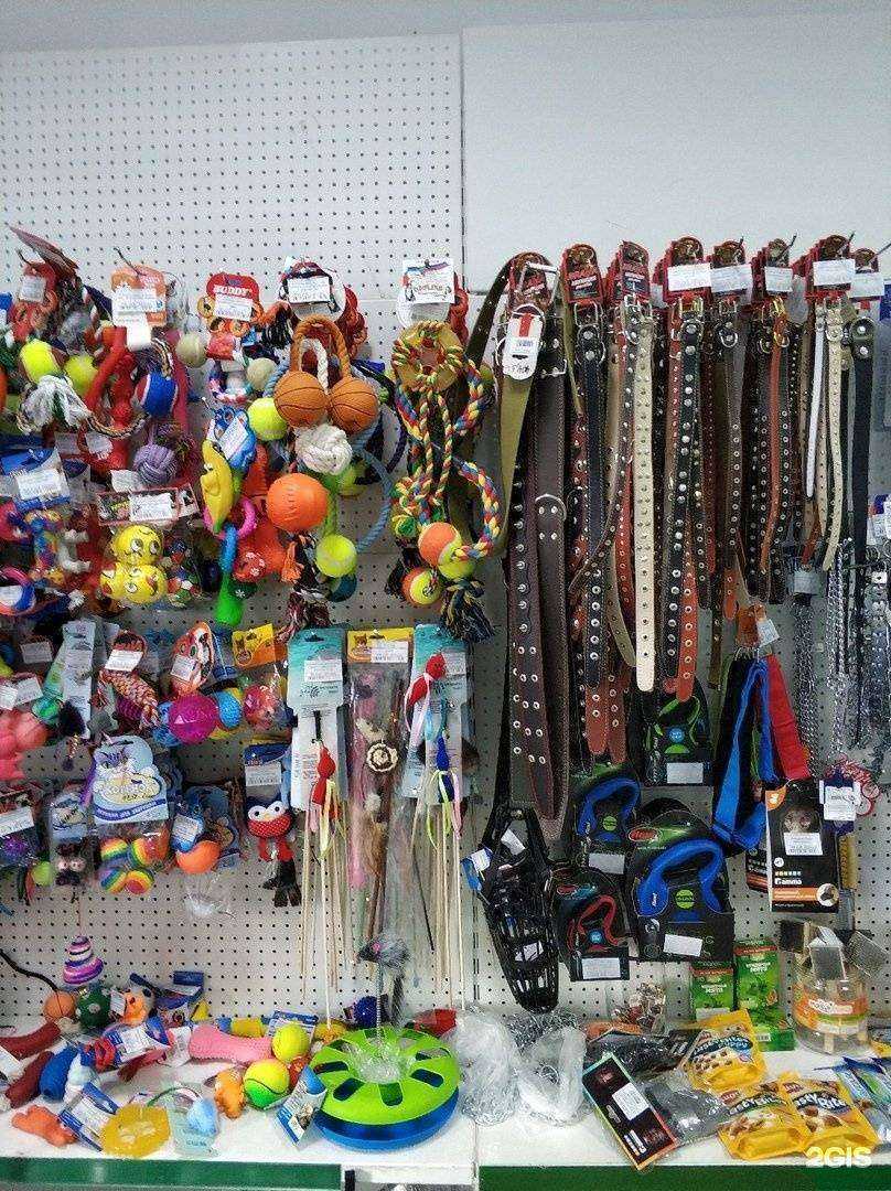 Отзывы на компанию Зоотрейд-Мой любимчик в Тюмени c фото