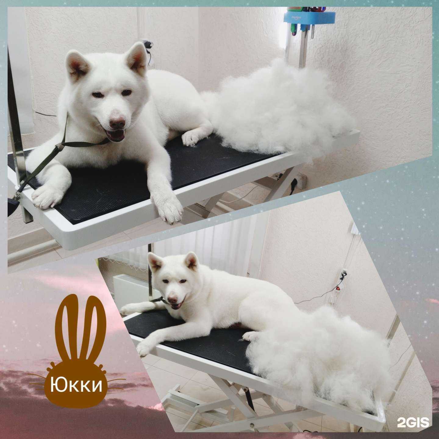 Отзывы на компанию Зайка моя в Краснодаре c фото