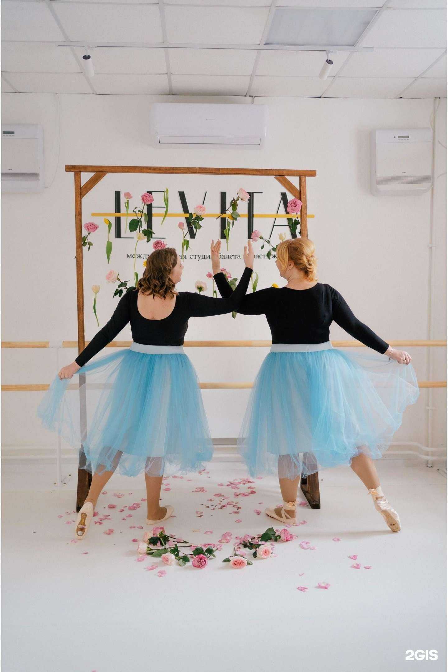 Отзывы на компанию Levita в Красноярске c фото