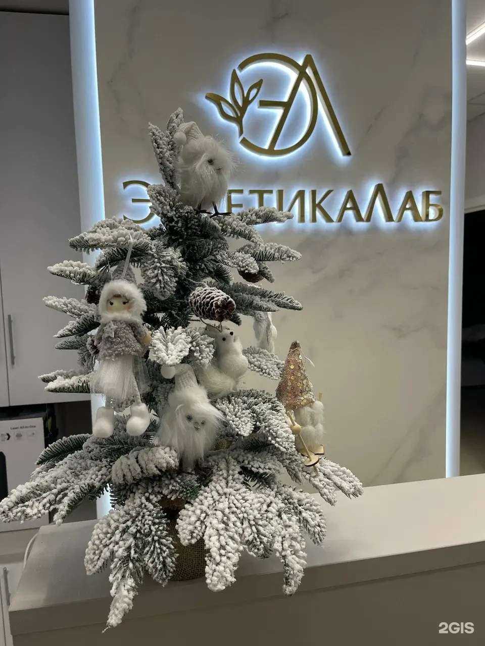 Отзывы на компанию ЭстетикаЛаб в Королёве c фото