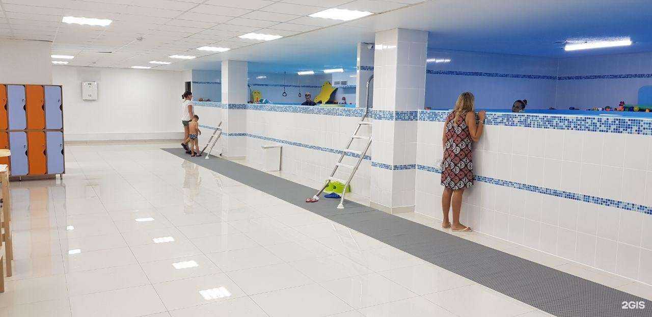 Отзывы на компанию Единая школа плавания в г. Краснодар c фото