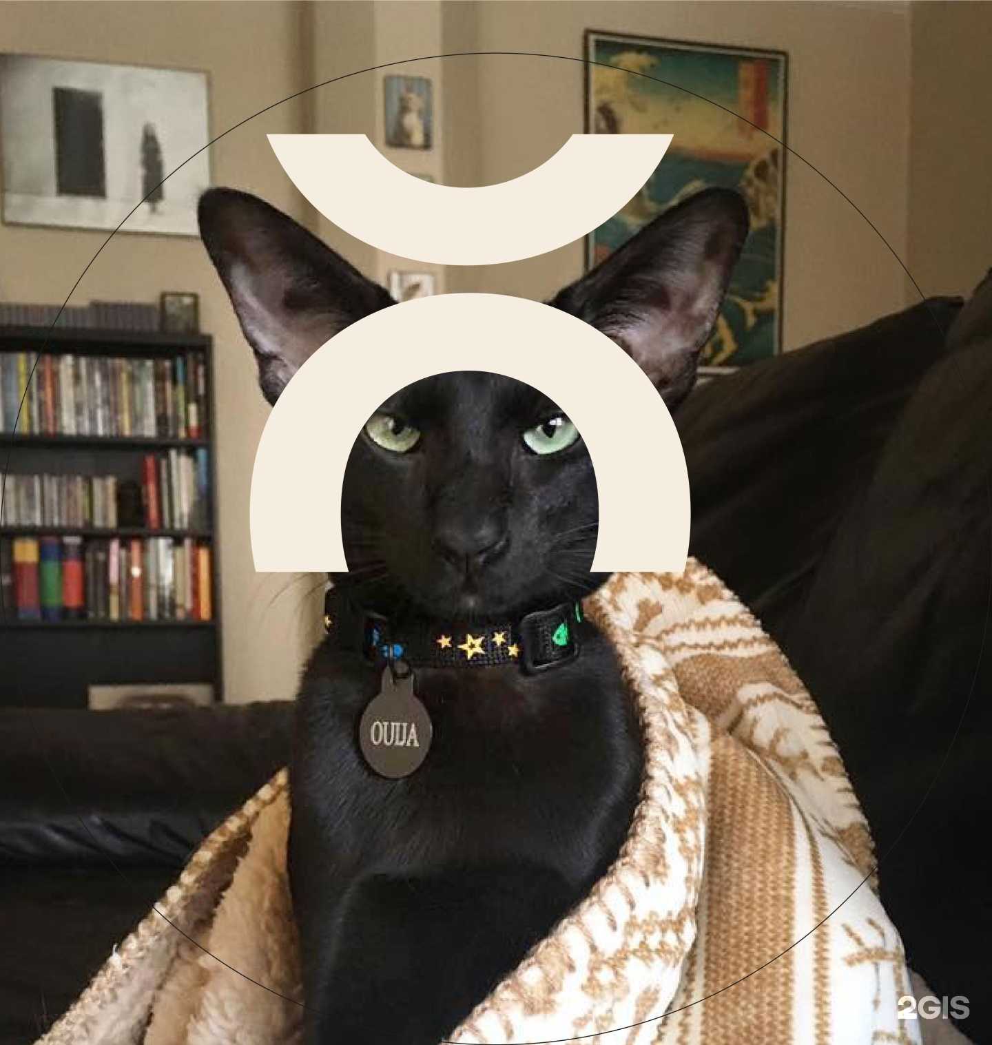 Отзывы на компанию Терракот в г. Краснодар c фото