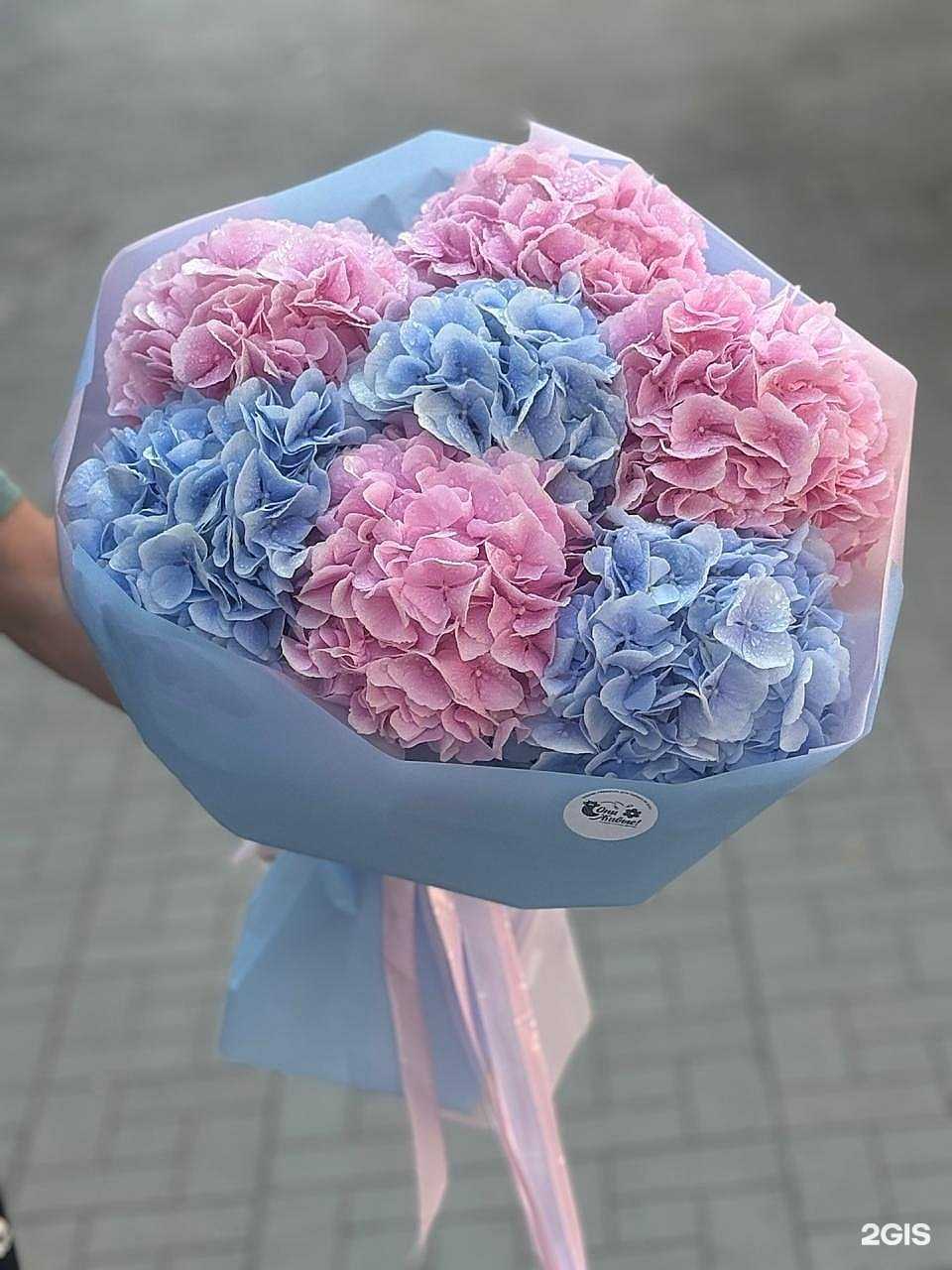 Отзывы на компанию Они Живые! в Новосибирске c фото