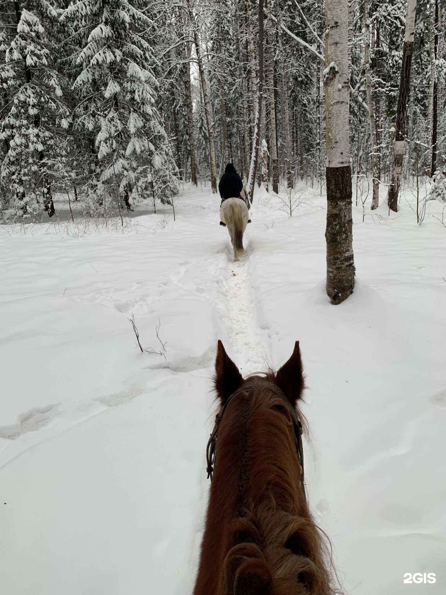 Отзывы на компанию Фаворит в Перми c фото