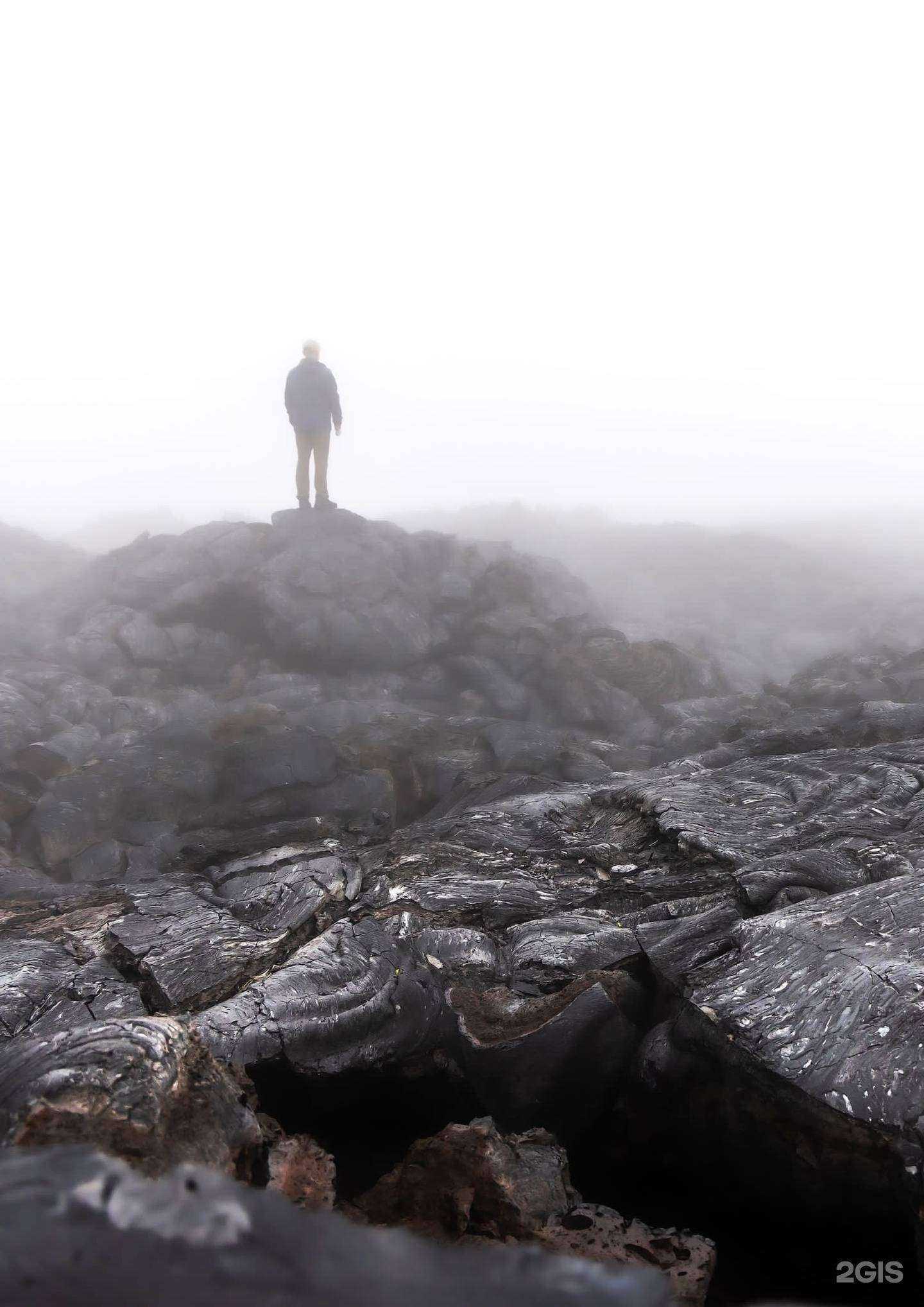 Отзывы на компанию МойТур41 в Петропавловске-Камчатском c фото