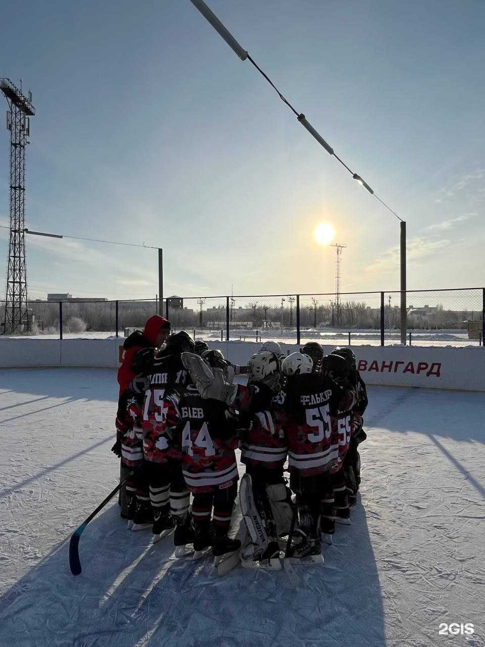 Отзывы на компанию Сибирские Волки в Омске c фото