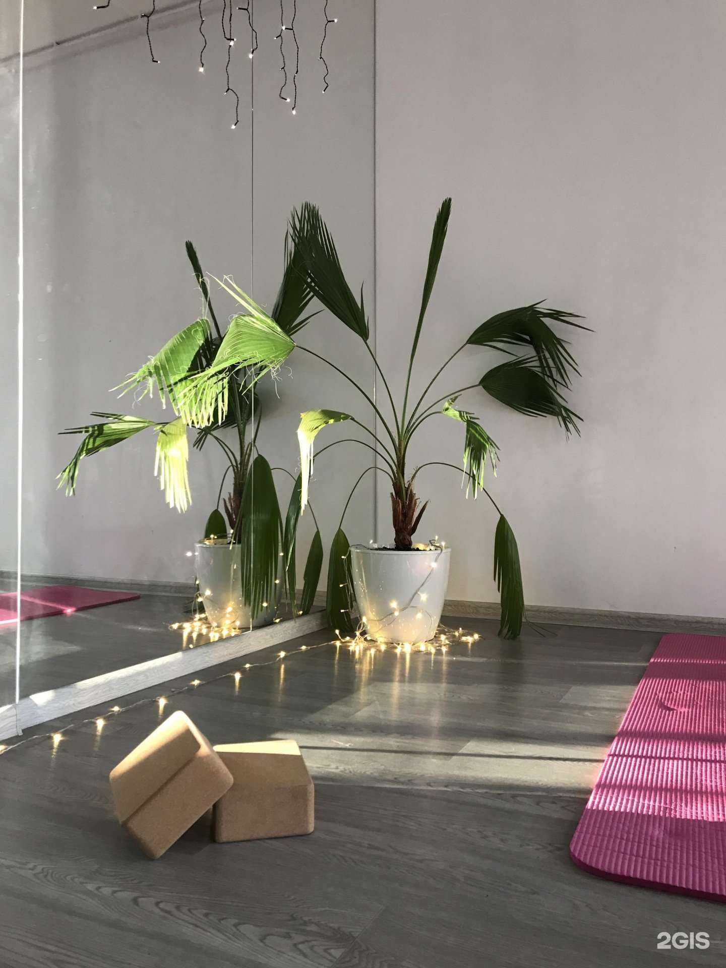 Отзывы на компанию Polyana sport в Ижевске c фото