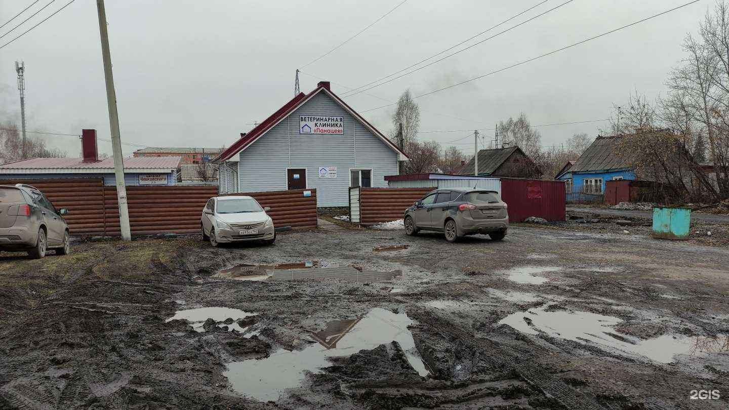 Отзывы на компанию Панацея в Киселёвске c фото