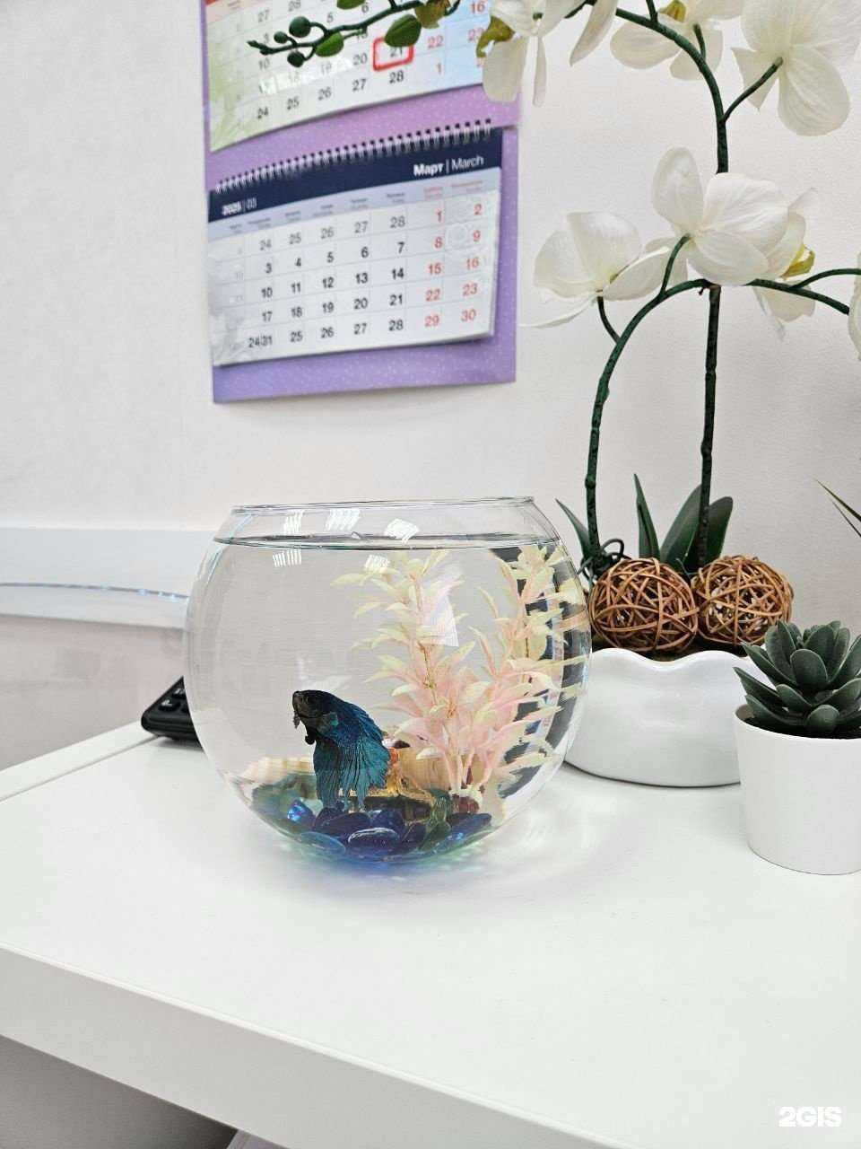 Отзывы на компанию Единый туристическо-визовый центр в Твери c фото