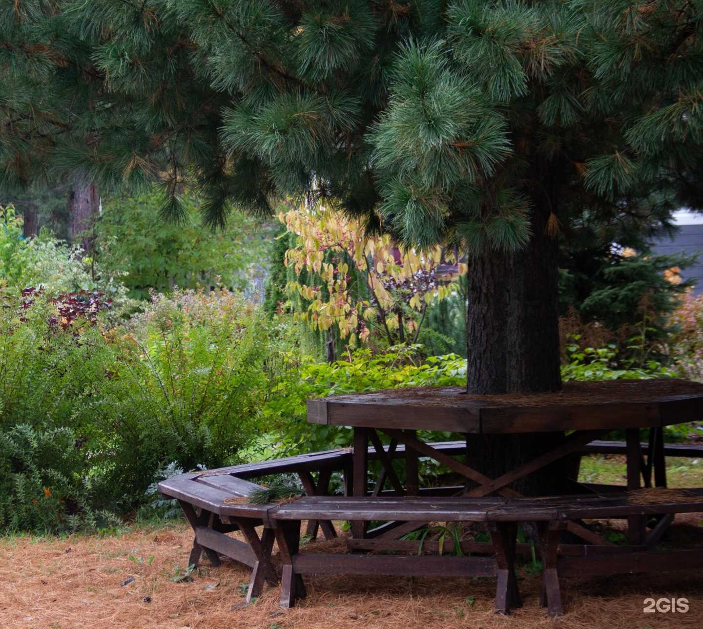 Отзывы на компанию Ландшафтная мастерская Марины Михайлик в Томске c фото