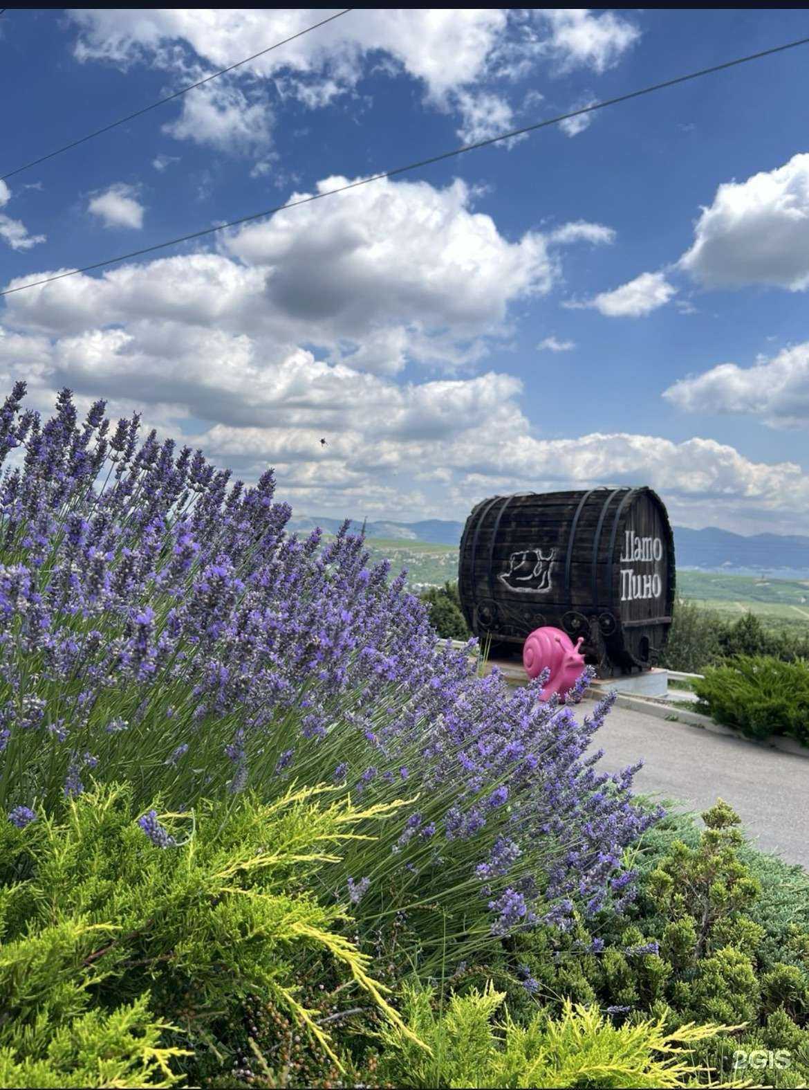 Отзывы на компанию Шато пино в Новороссийске c фото