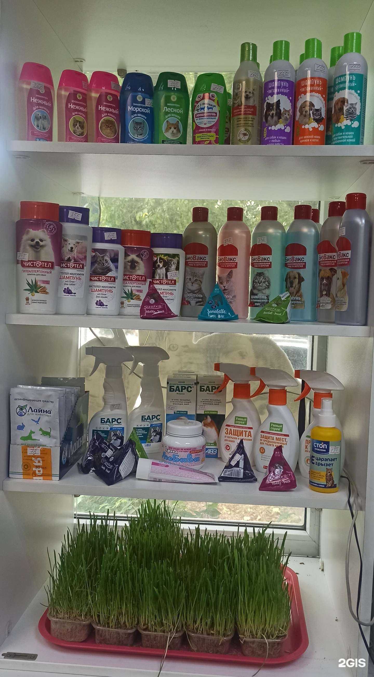 Отзывы на компанию Zooсити в г. Уфа c фото