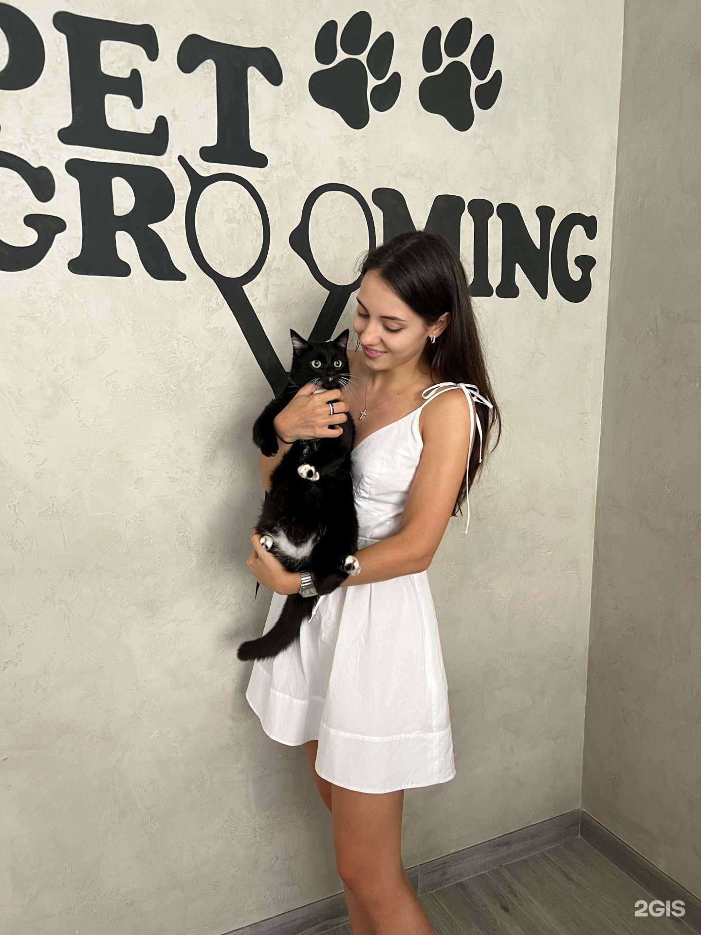 Отзывы на компанию Paws в г. Краснодар c фото