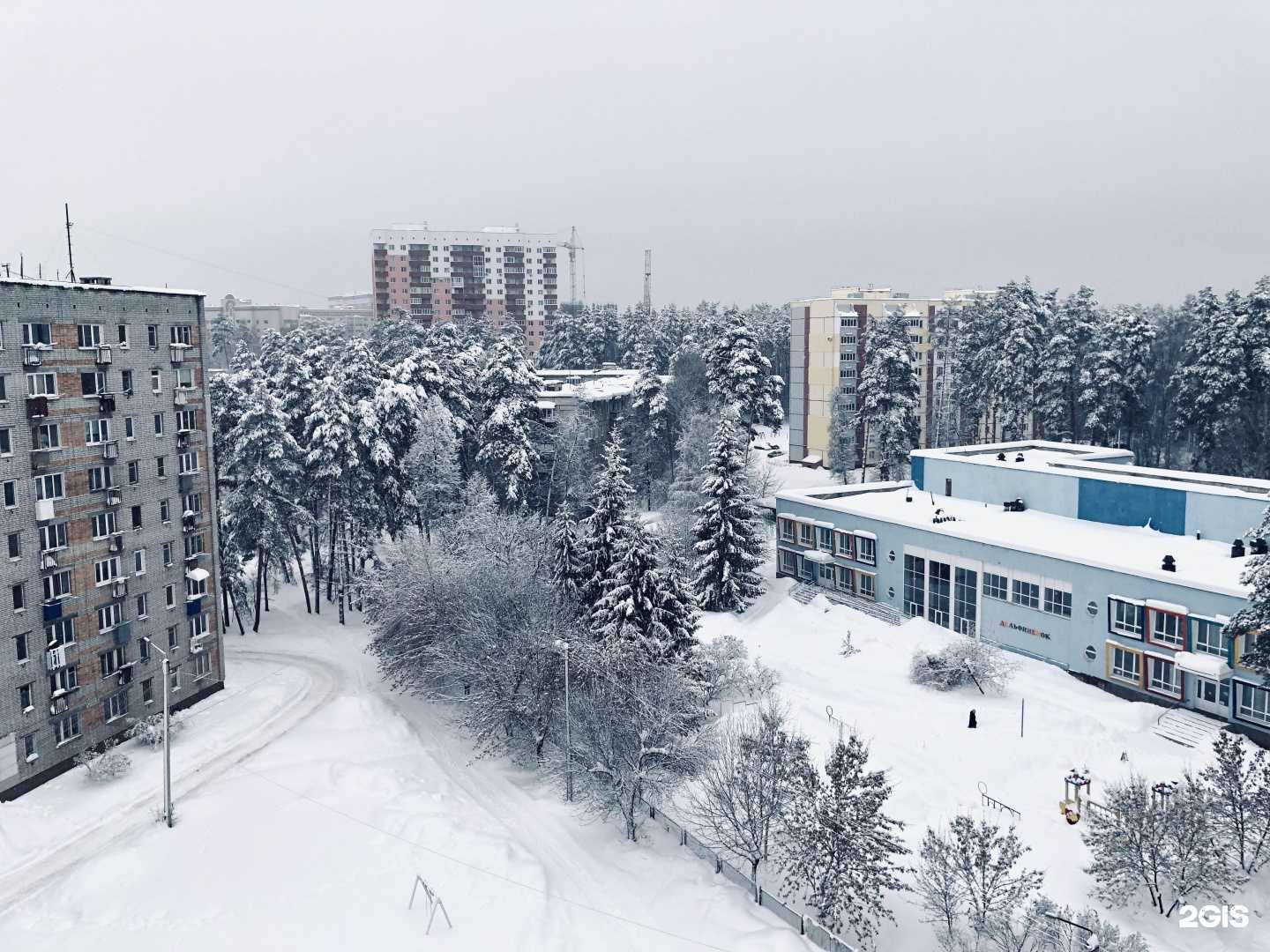 Отзывы на компанию Дельфинёнок в Димитровграде c фото