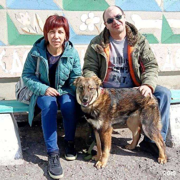 Отзывы на компанию Друг в Омске c фото