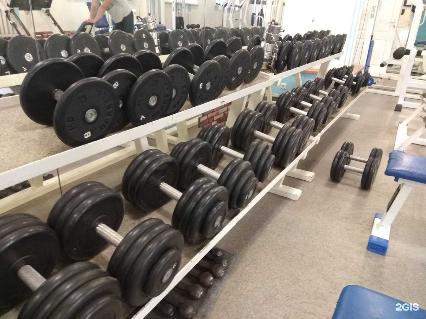 Отзывы на компанию Динамо в г. Чебоксары c фото