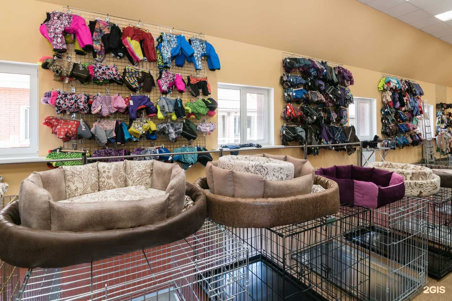 Отзывы на компанию ЗооСити в г. Омск c фото