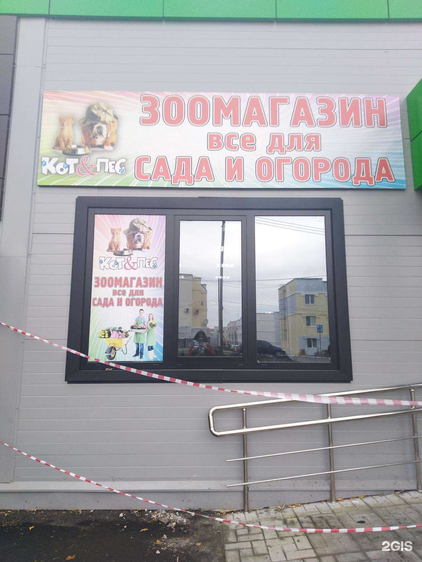 Отзывы на компанию Кот и пес в Жигулевске c фото