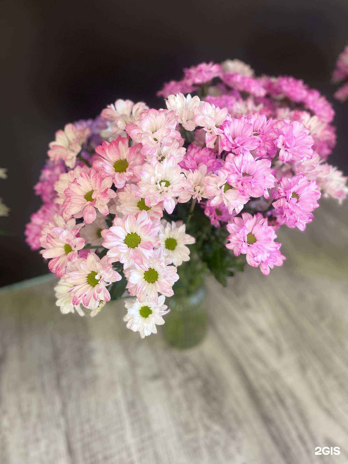 Отзывы на компанию Бамбук в Ангарске c фото