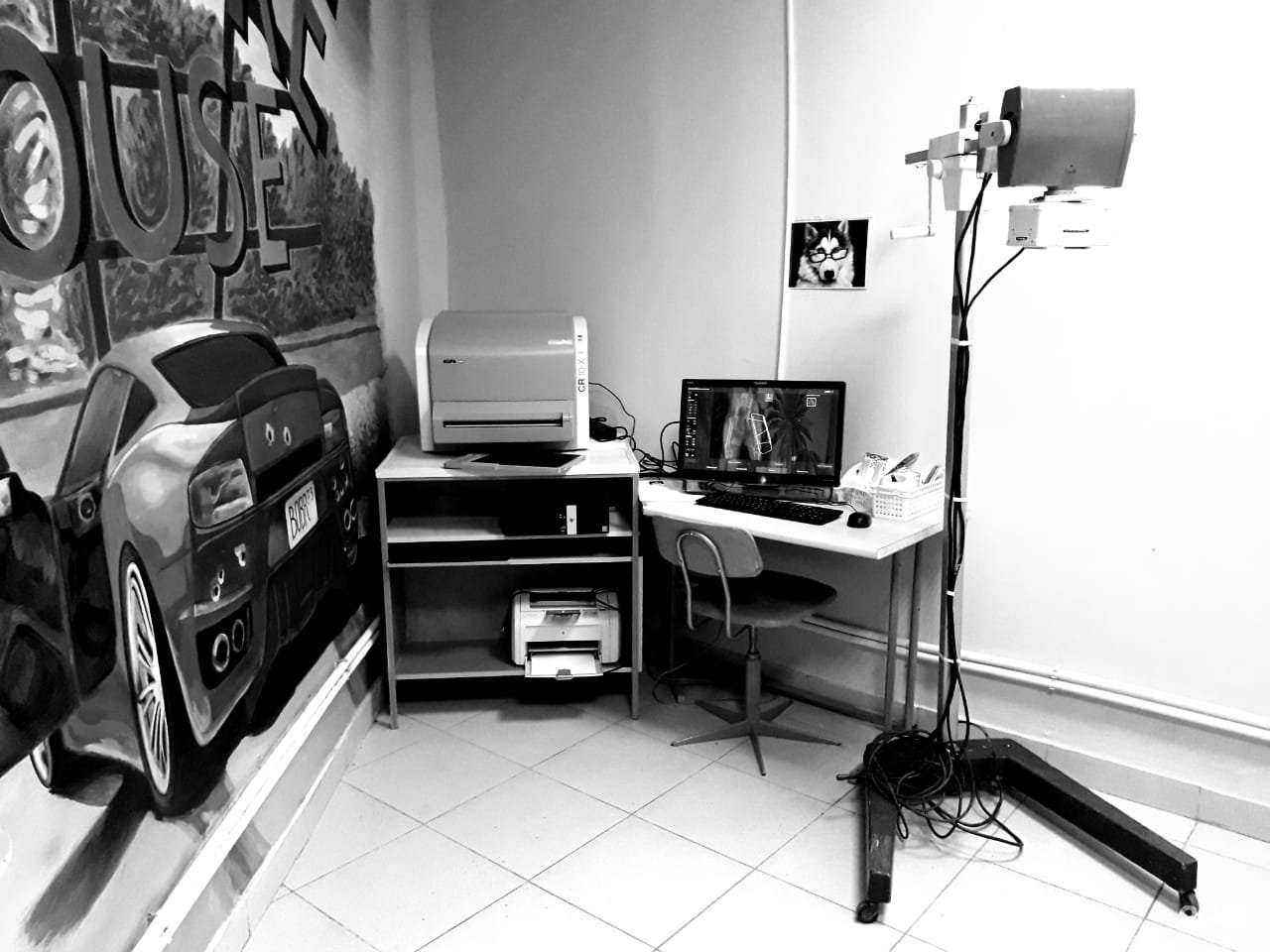 Отзывы на компанию ВетСити в Ульяновске c фото