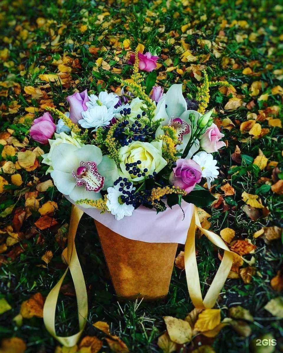 Отзывы на компанию Дом цветов в г. Киров c фото