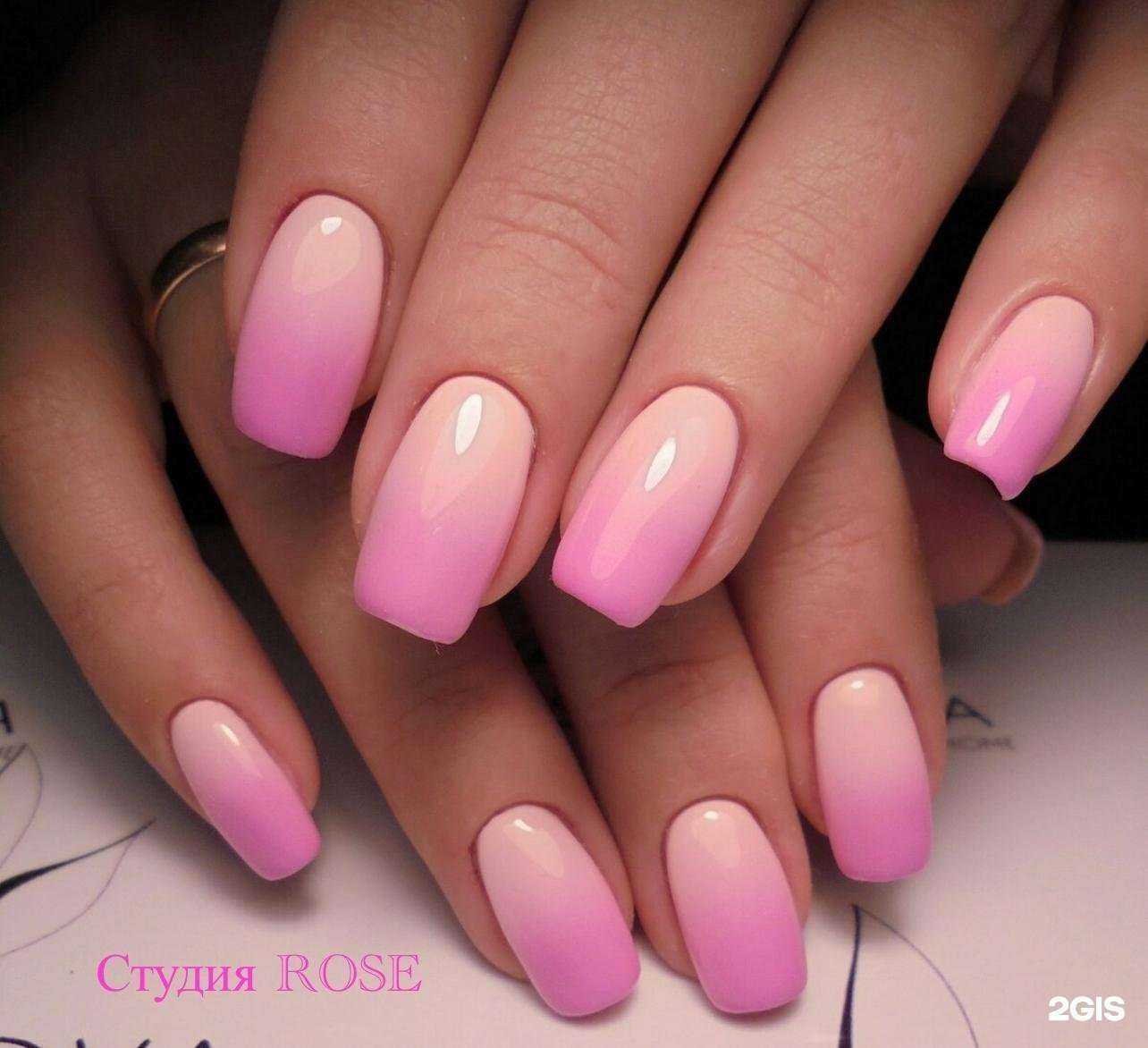 Отзывы на компанию Rose в Мурманске c фото