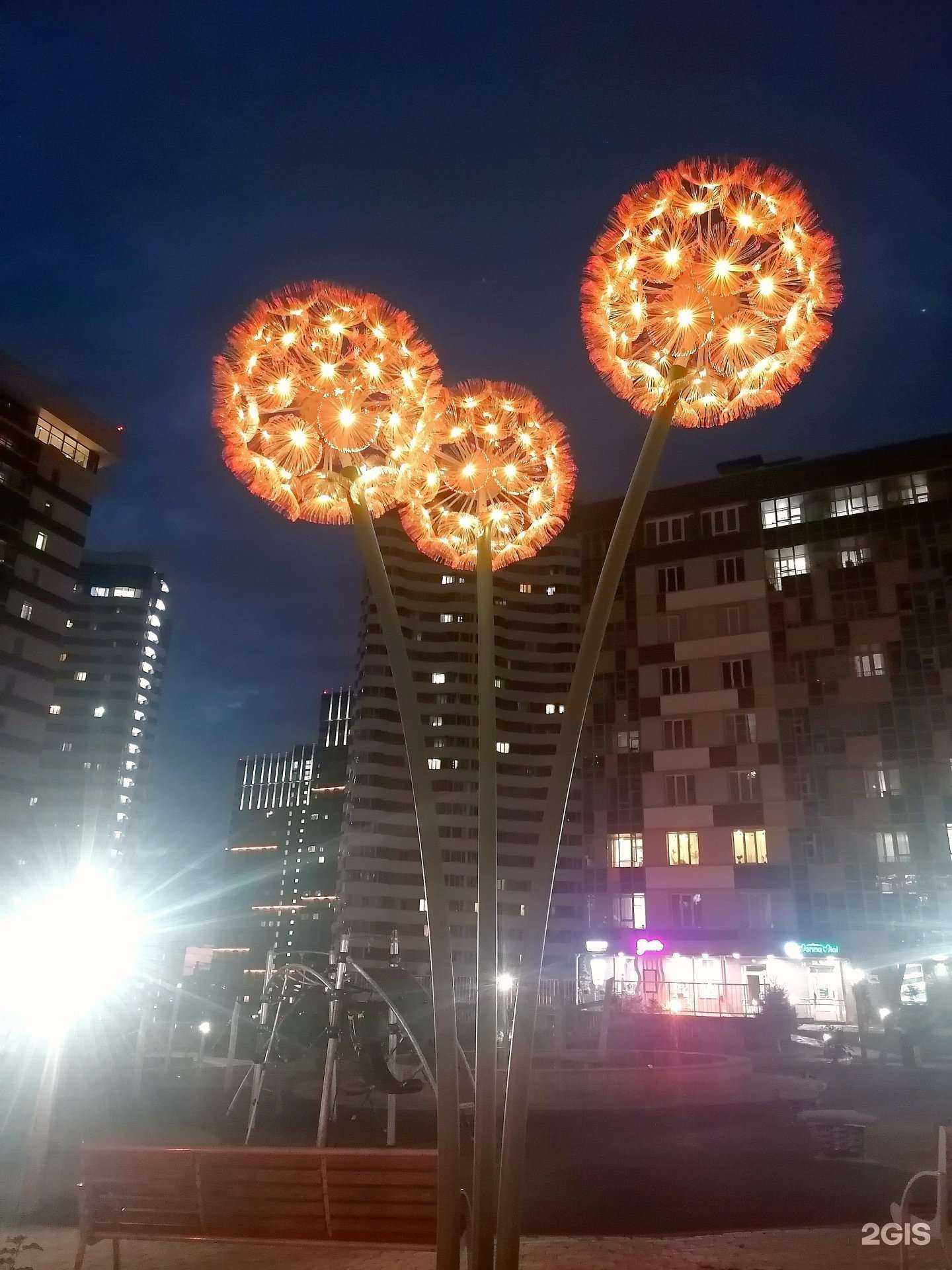 Отзывы на компанию Зоомир Оазиса в Новосибирске c фото - фотография 2 из 2