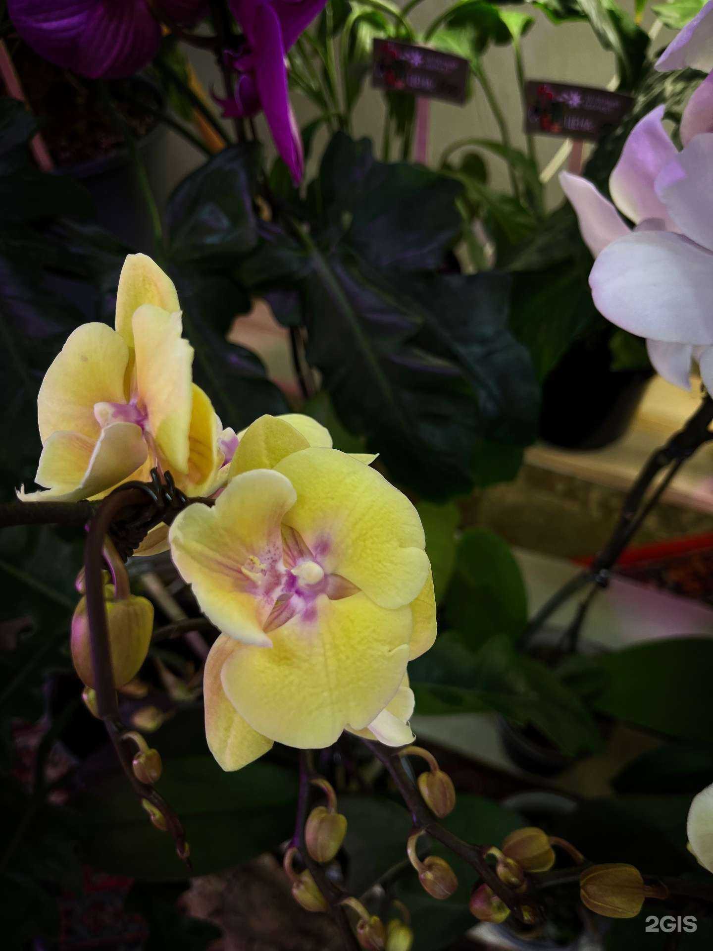 Отзывы на компанию Зеленый маркет  в Магнитогорске c фото