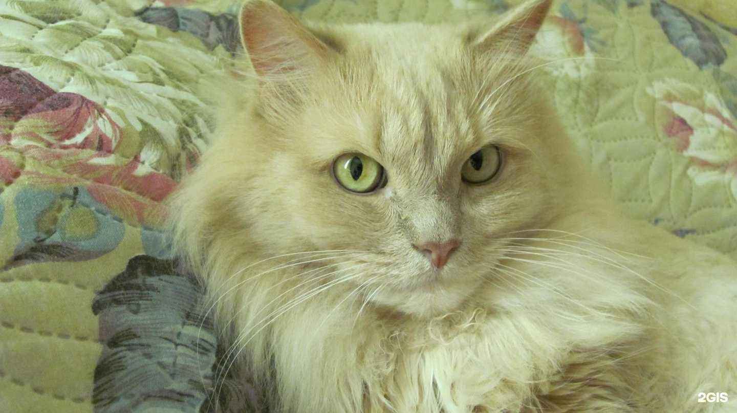 Отзывы на компанию Ветфарм в г. Челябинск c фото