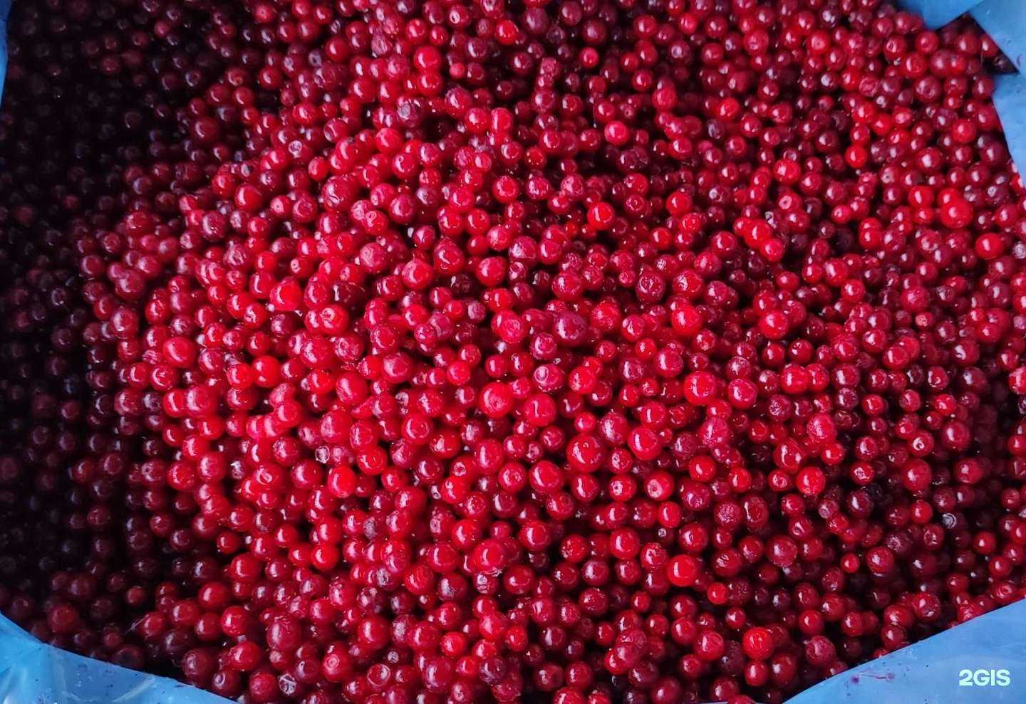 Отзывы на компанию Замороженный продукт в г. Краснодар c фото