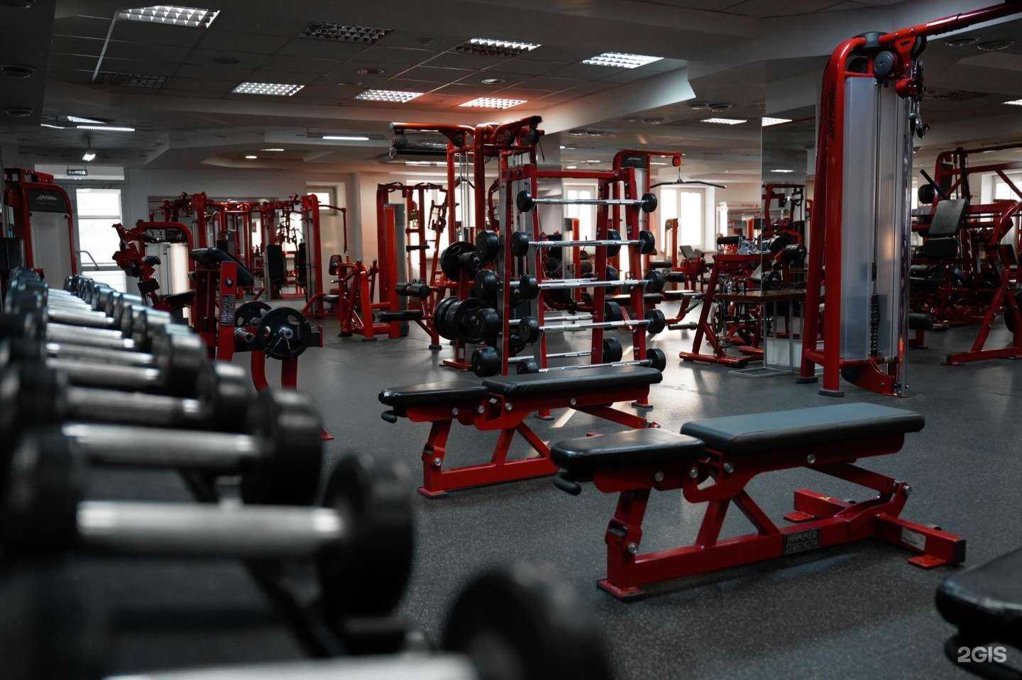 Отзывы на компанию Strongo Hammer Strength в Красноярске c фото