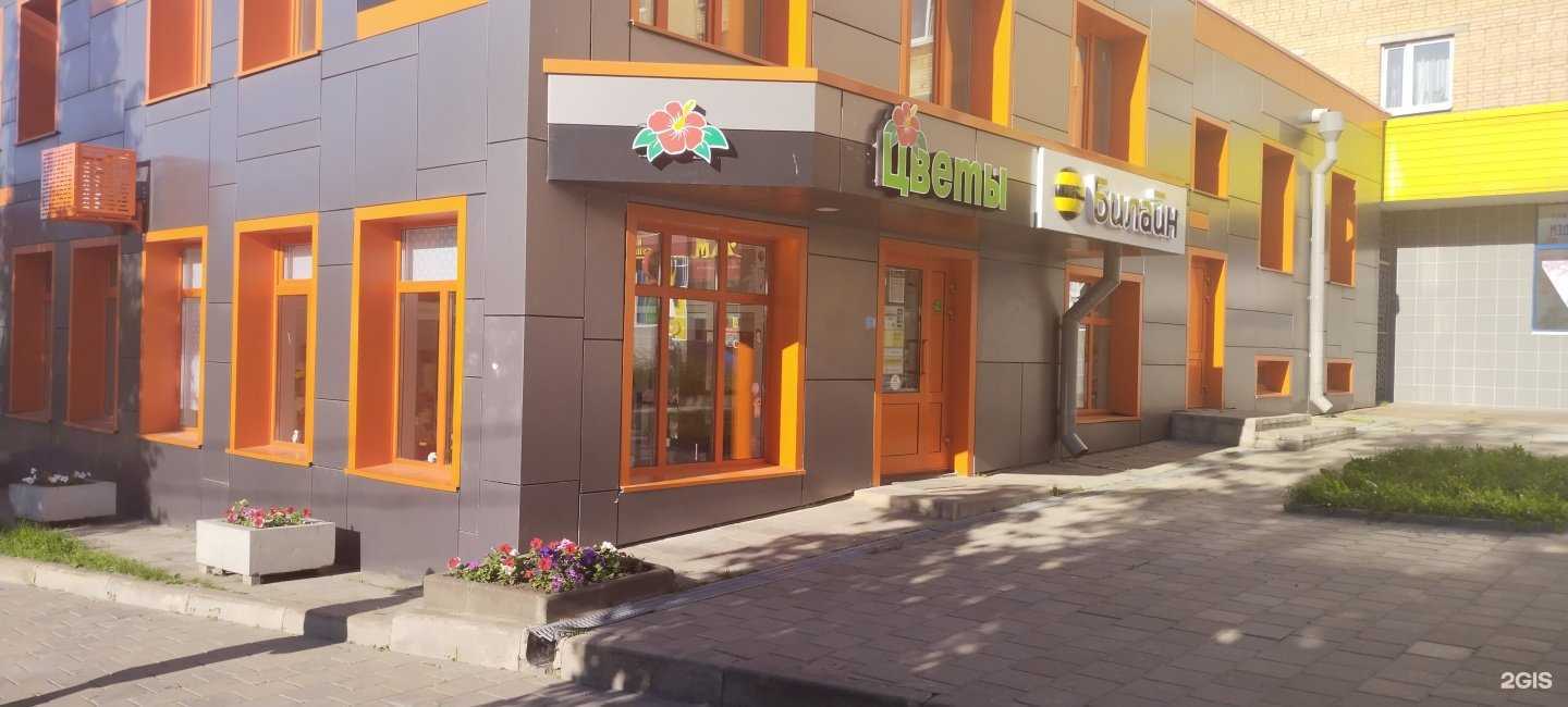 Отзывы на компанию Art buket в Щёлкове c фото