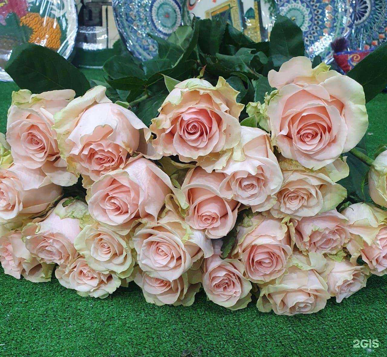 Отзывы на компанию Tais в г. Подольск c фото