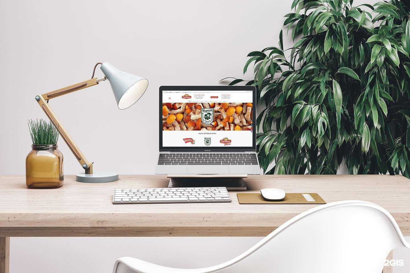 Отзывы на компанию Палитра в г. Кострома c фото