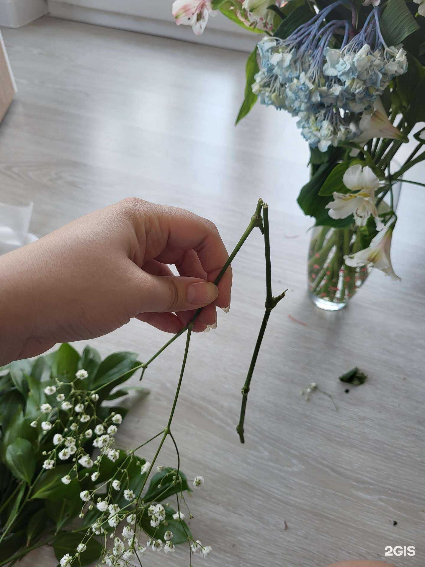 Отзывы на компанию Black red white в Новороссийске c фото - фотография 2 из 2