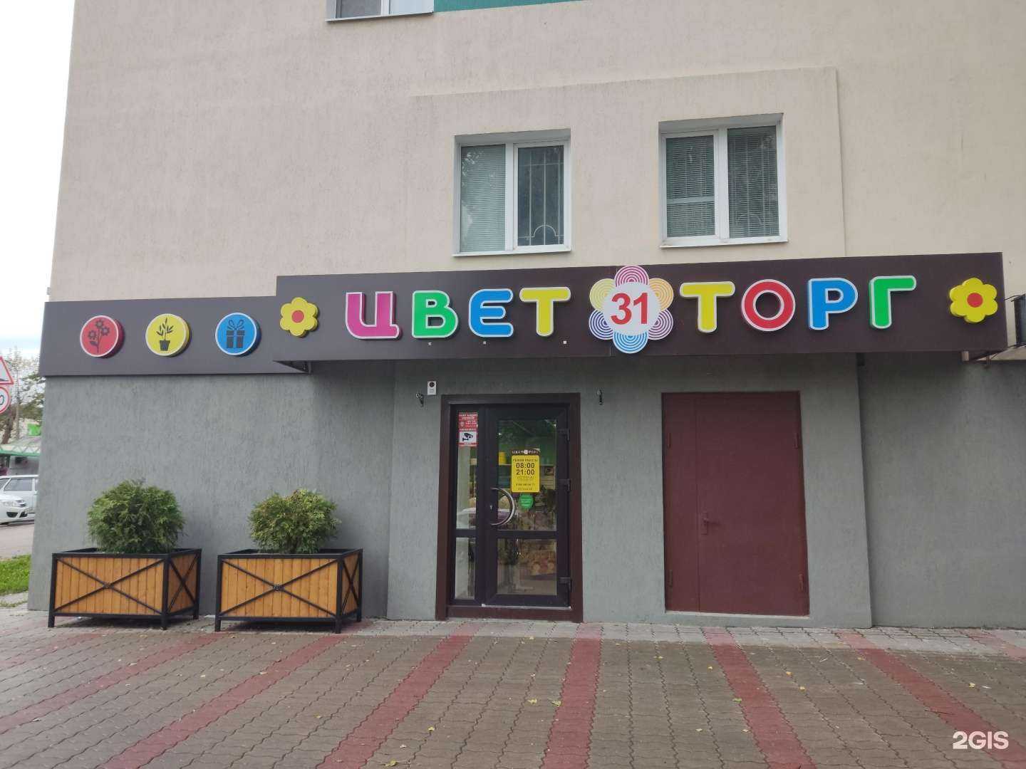 Отзывы на компанию ЦветТорг 31 в Губкине c фото