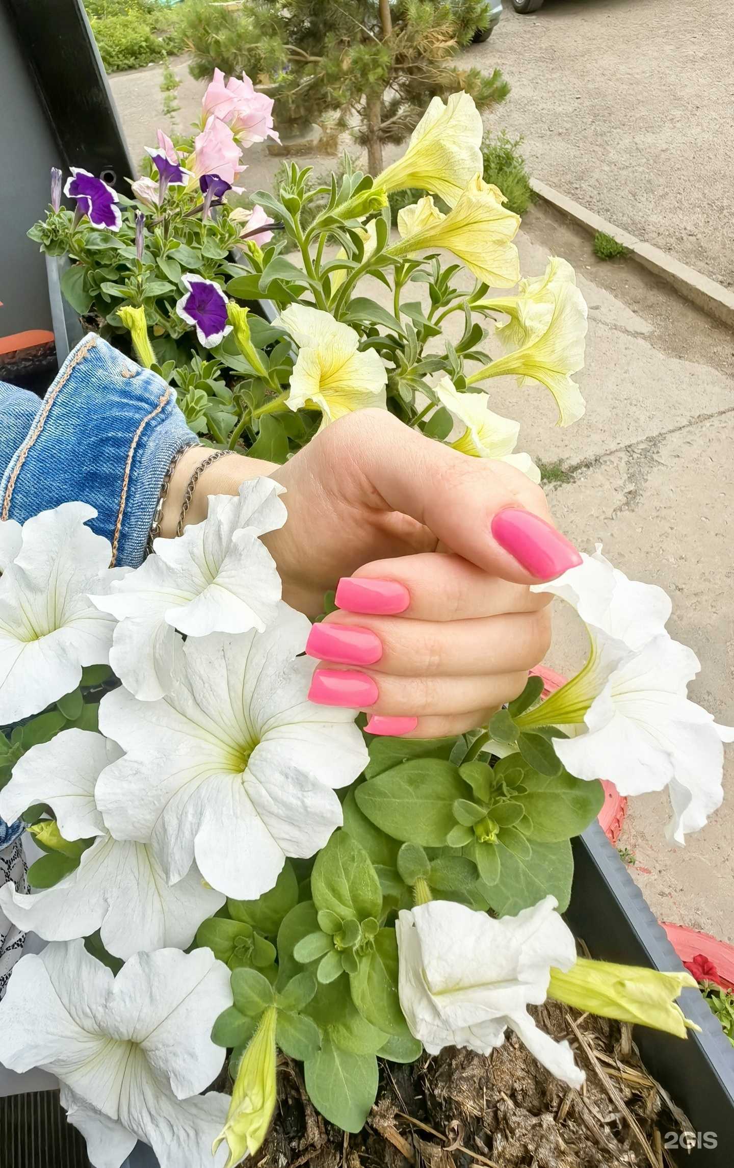 Отзывы на компанию Стиль в Красноярске c фото