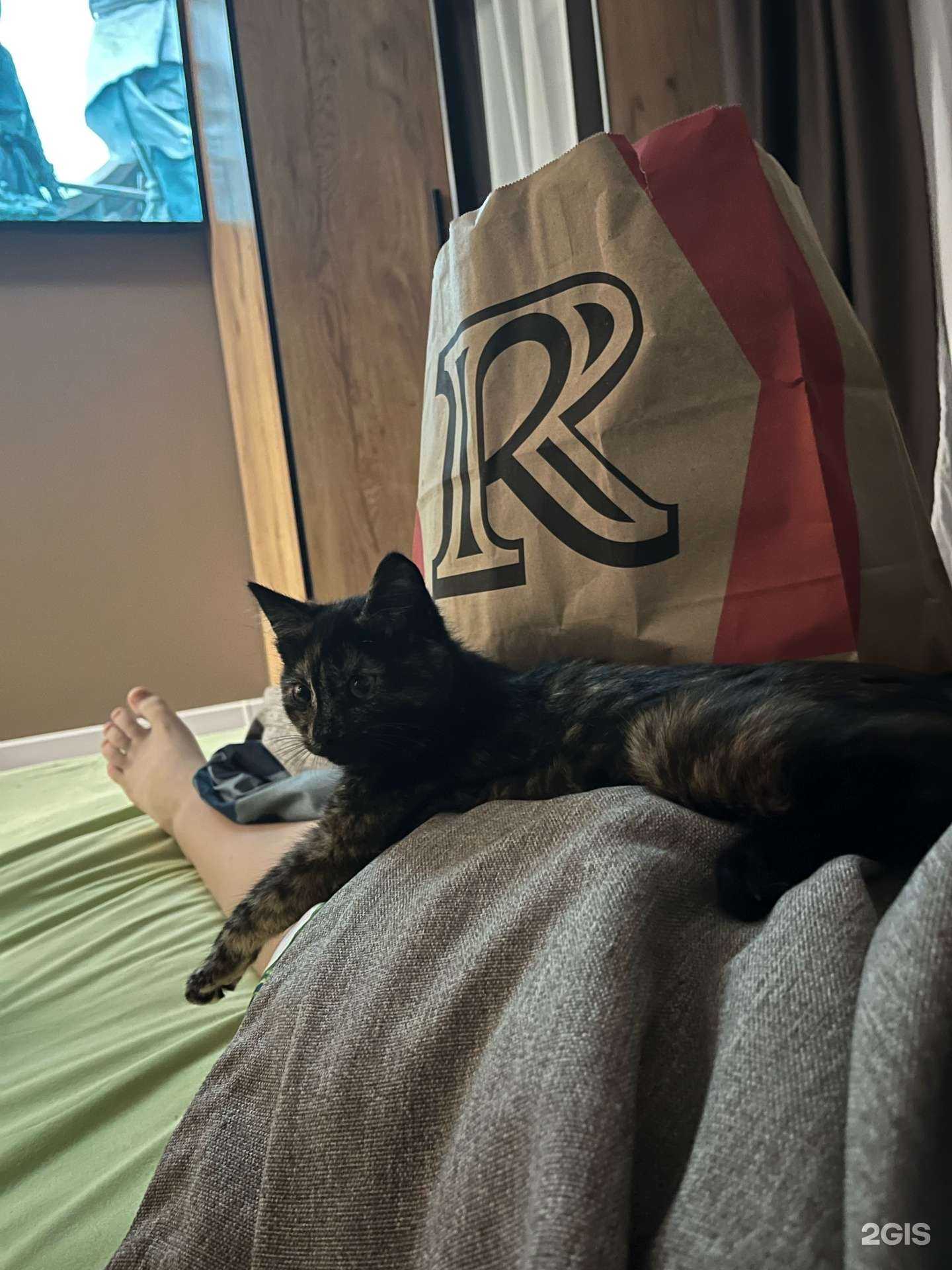 Отзывы на компанию Rostic`s в Краснодаре c фото