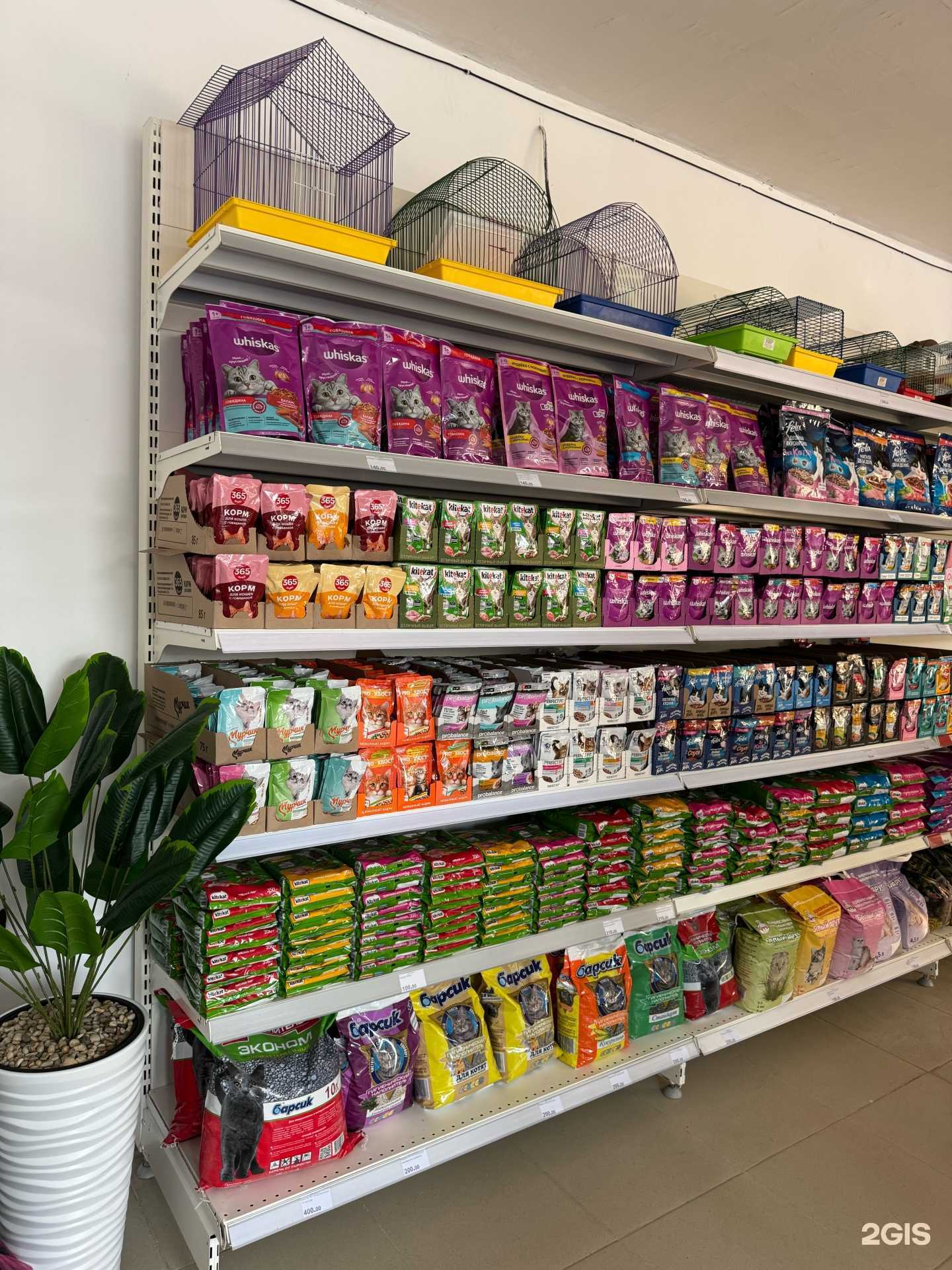 Отзывы на компанию Zоомаркет в Дербенте c фото