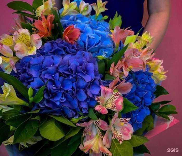 Отзывы на компанию МЕГА Дискаунтер в г. Владивосток c фото