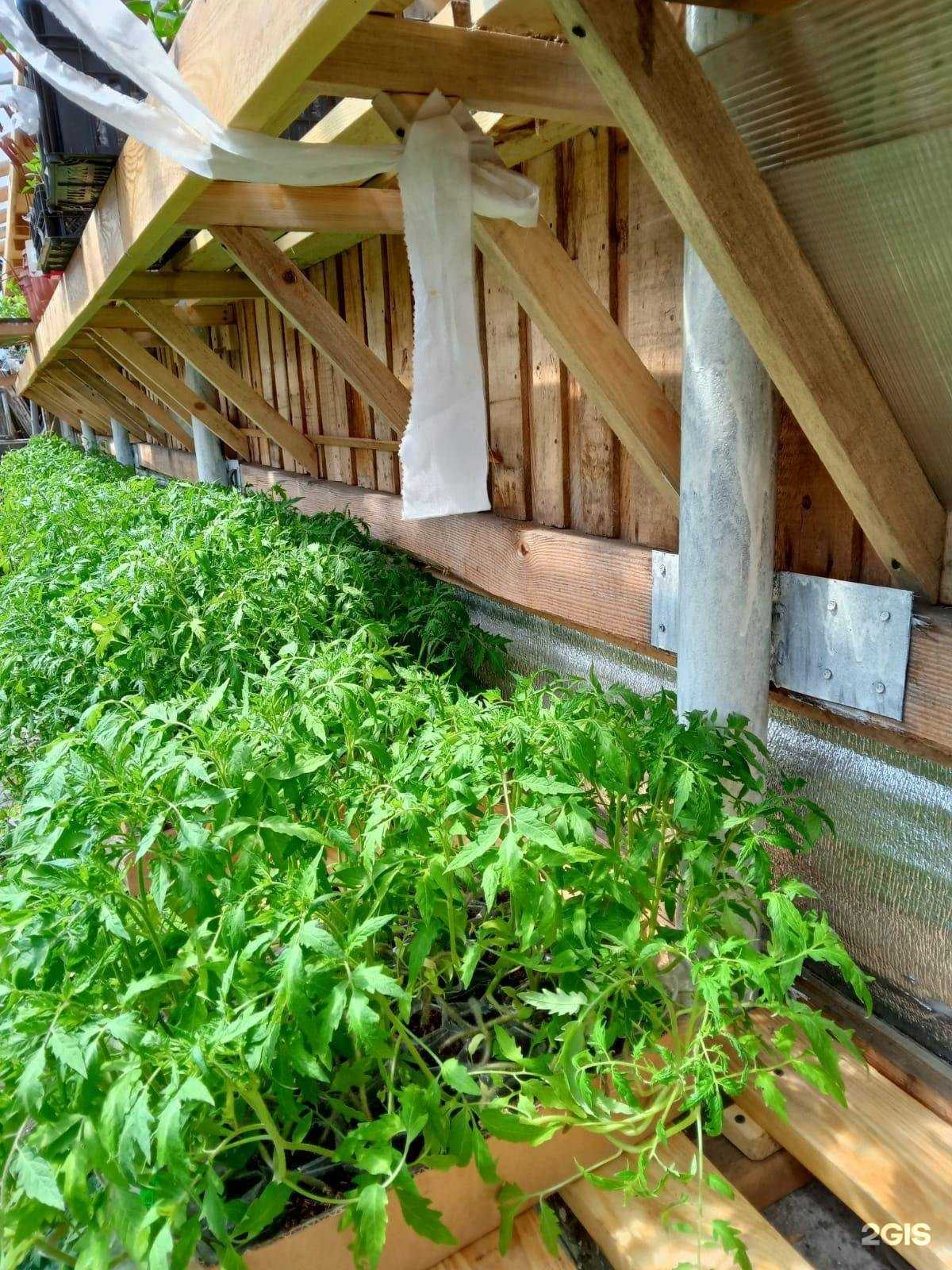 Отзывы на компанию ТОМАТиК в г. Бийск c фото