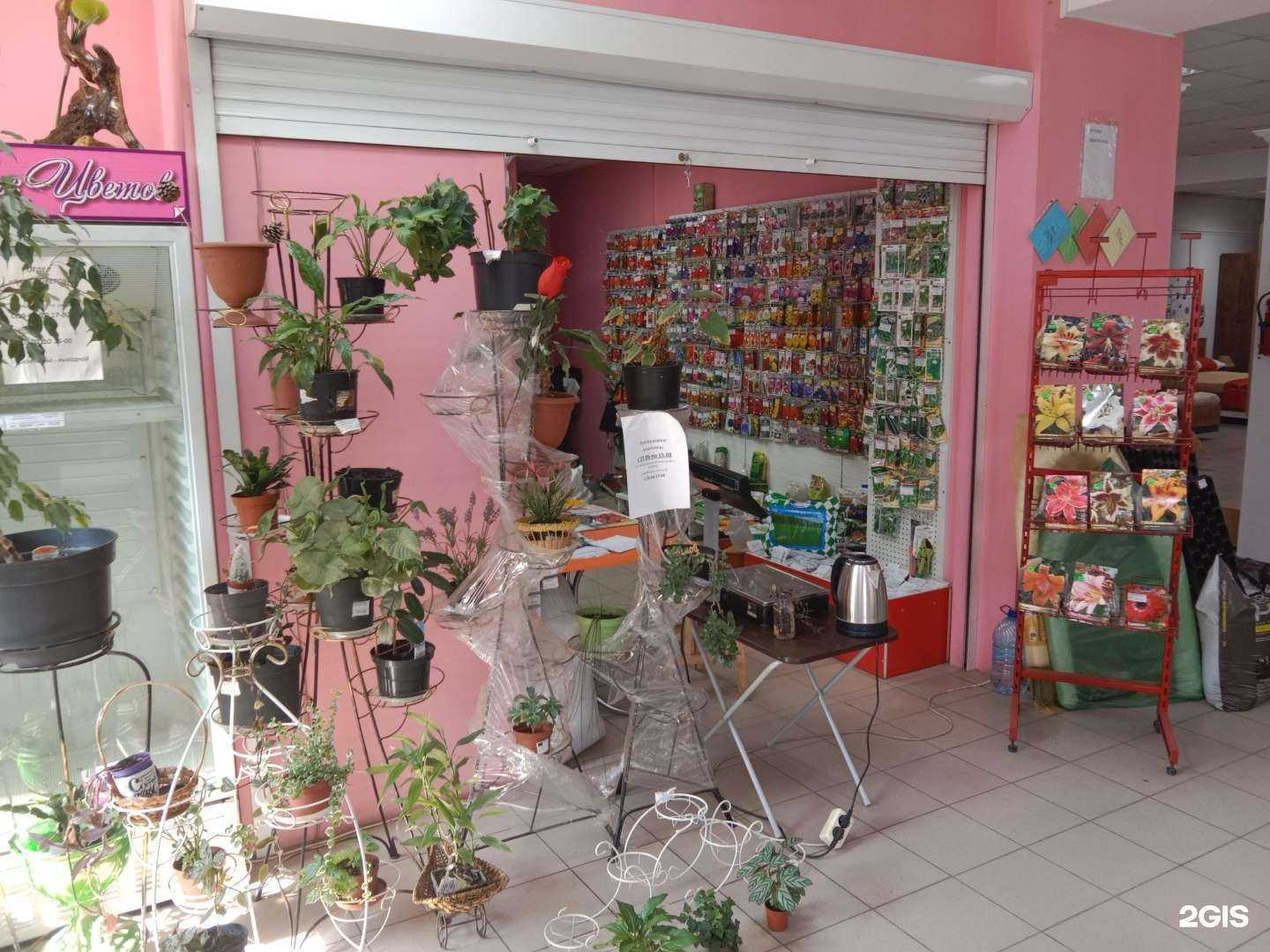 Отзывы на компанию Вальс Цветов в г. Бийск c фото