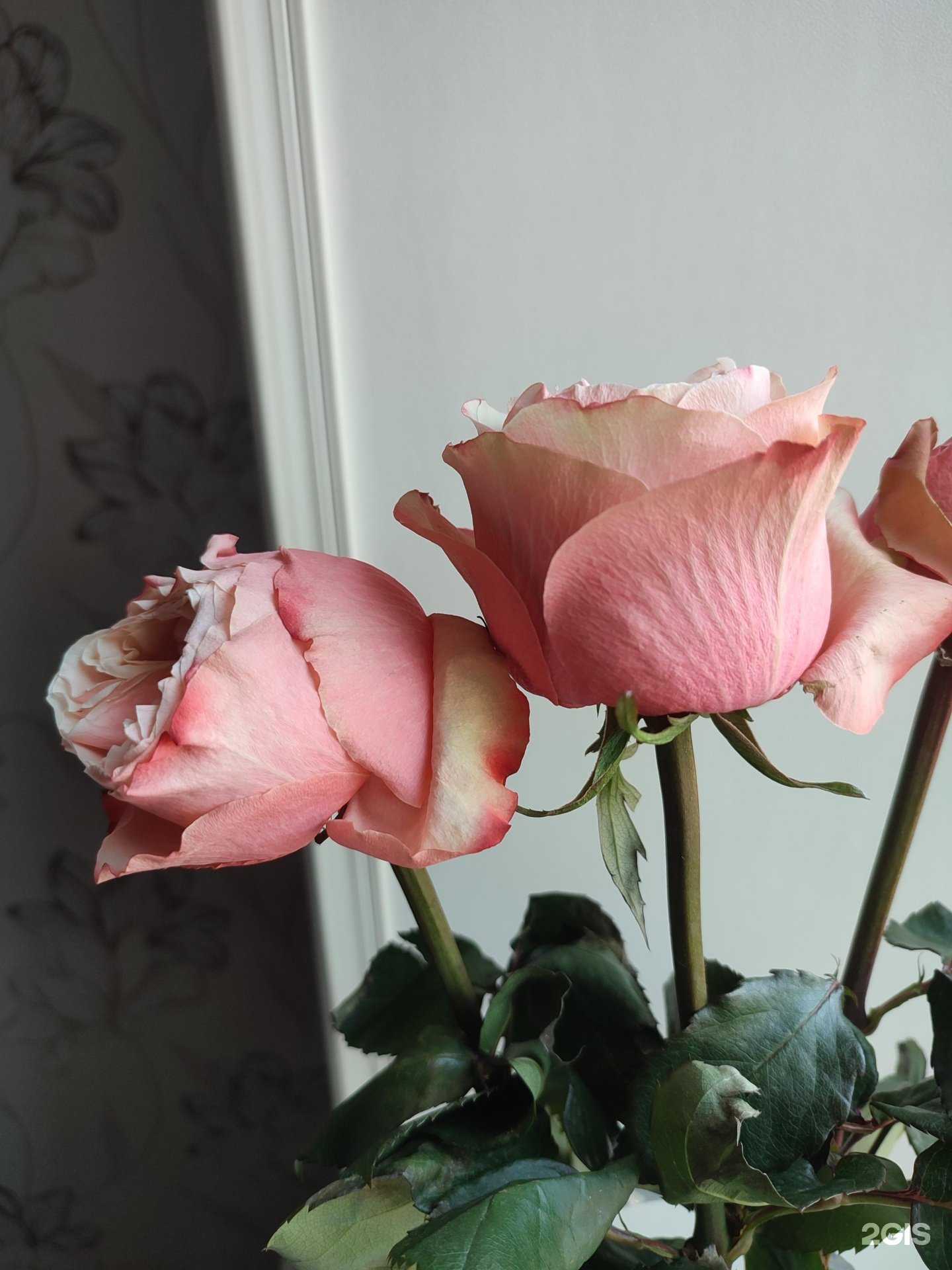 Отзывы на компанию Магазин цветов в г. Находка c фото