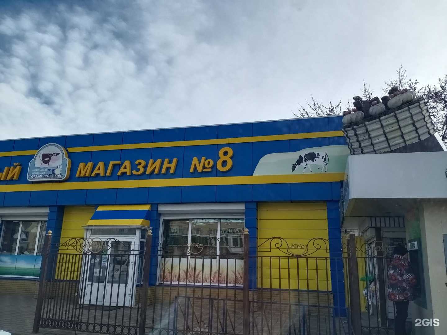 Отзывы на компанию Зелёная Обезьяна в Ставрополе c фото - фотография 2 из 2