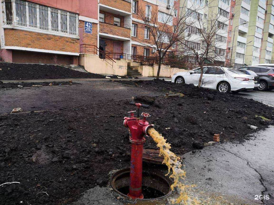 Отзывы на компанию Синтез ТехВес в Владивостоке c фото - фотография 2 из 2