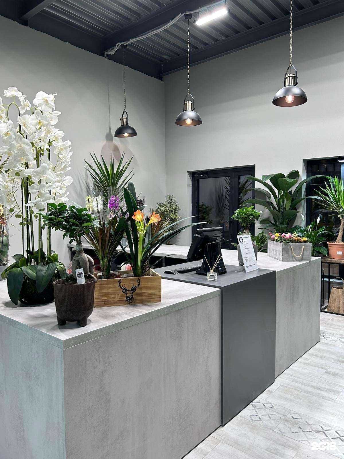 Отзывы на компанию RoseHill в г. Обнинск c фото