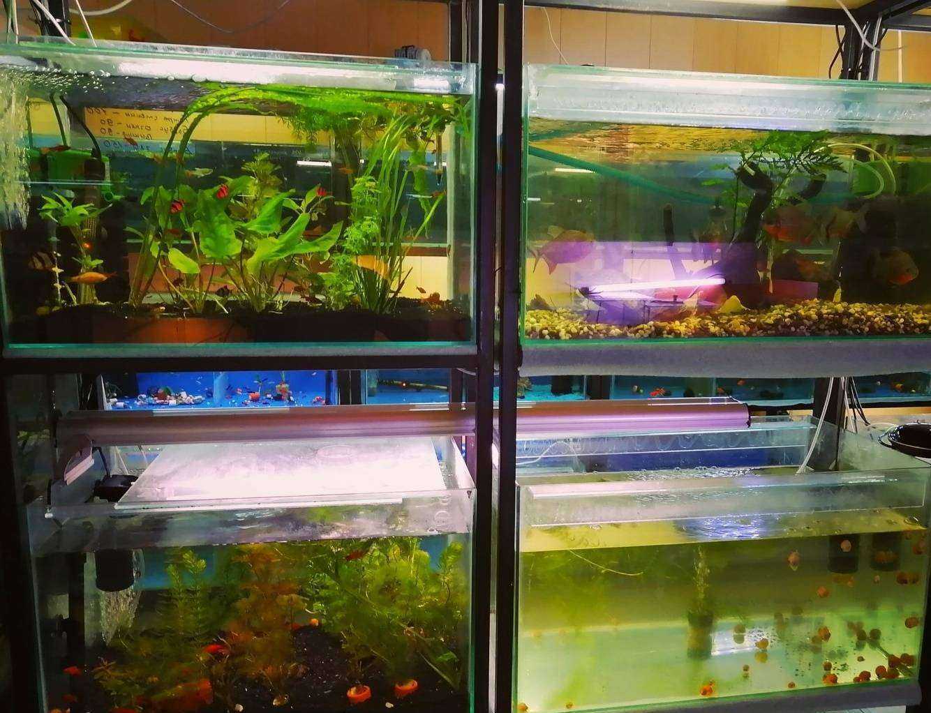 Отзывы на компанию Зоосад в г. Кисловодск c фото